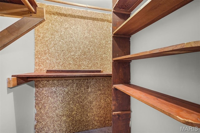 1385 Mallard Ln, Florissant, MO 63031 - view of walk in closet