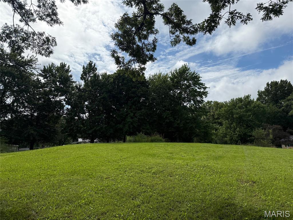 1208 W Gallatin St, Vandalia, IL 62471 - view of grassy yard