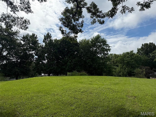 1208 W Gallatin St, Vandalia, IL 62471 - view of grassy yard