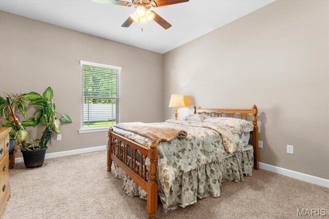 30 Ellington Dr, Troy, IL 62294 - photo 27