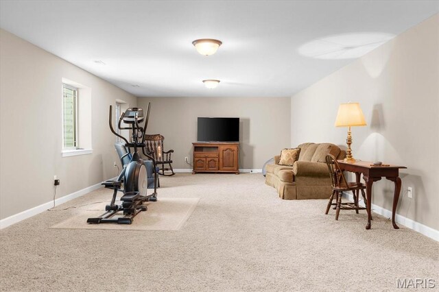 30 Ellington Dr, Troy, IL 62294 - photo 32