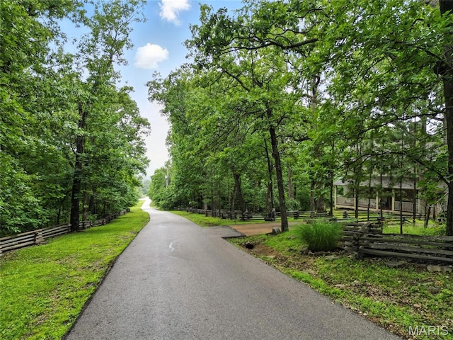 1423 Emily Ln, Festus, MO 63028 - view of asphalt street