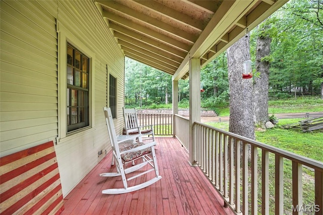 1423 Emily Ln, Festus, MO 63028 - view of porch