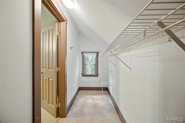 1423 Emily Ln, Festus, MO 63028 - spacious closet featuring light colored carpet
