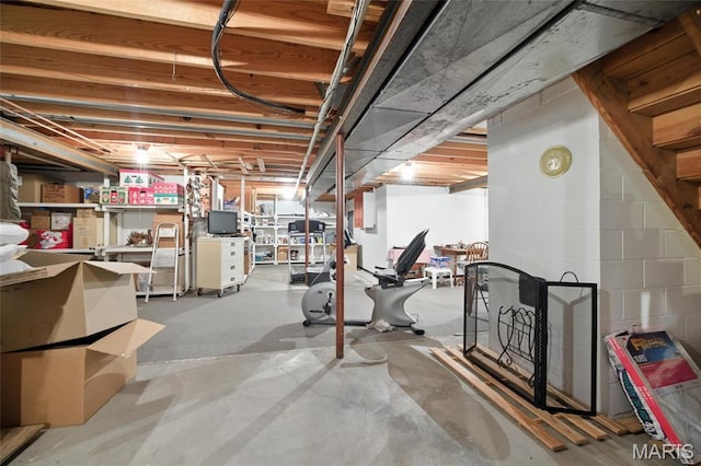 1423 Emily Ln, Festus, MO 63028 - view of unfinished basement