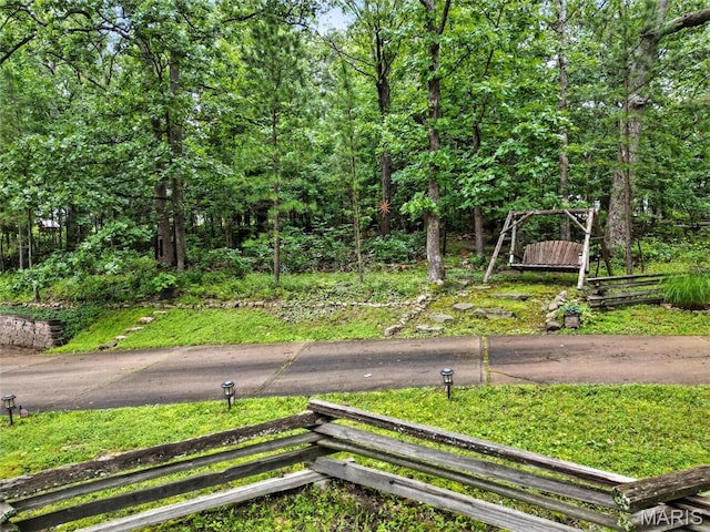 1423 Emily Ln, Festus, MO 63028 - view of road