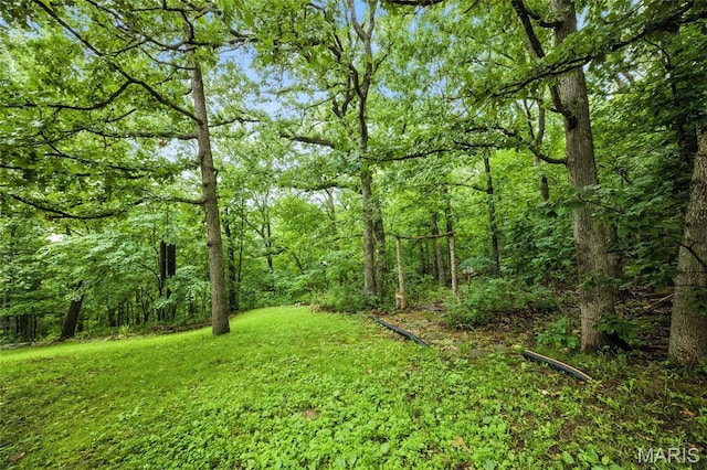 1423 Emily Ln, Festus, MO 63028 - view of green lawn with a wooded view