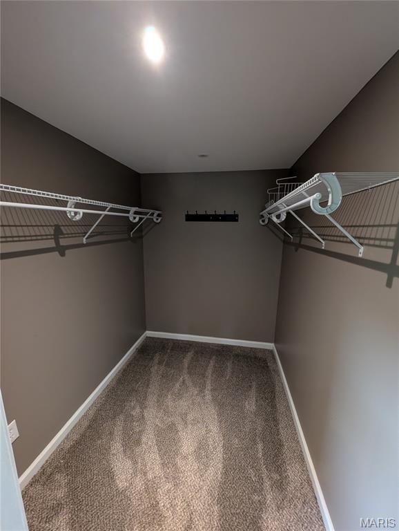 326 S Elm St, Bethalto, IL 62010 - spacious closet featuring carpet