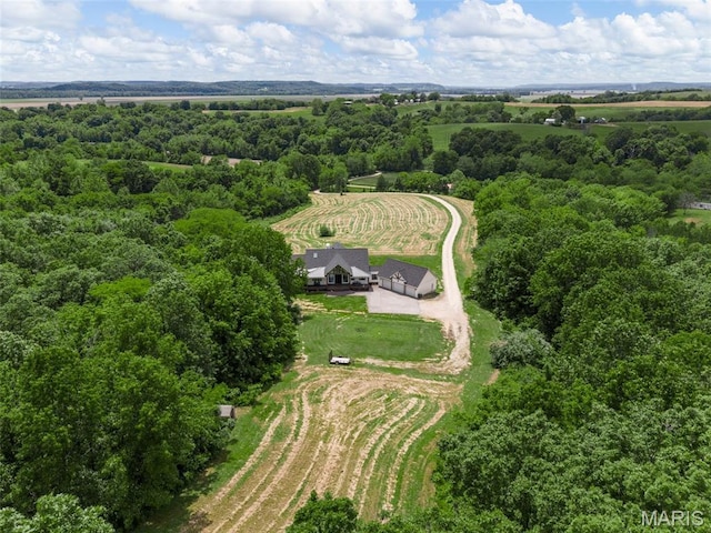 22206 Tree Farm Rd, Hermann, MO 63383 - view of rural area