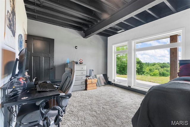 22206 Tree Farm Rd, Hermann, MO 63383 - view of carpeted office