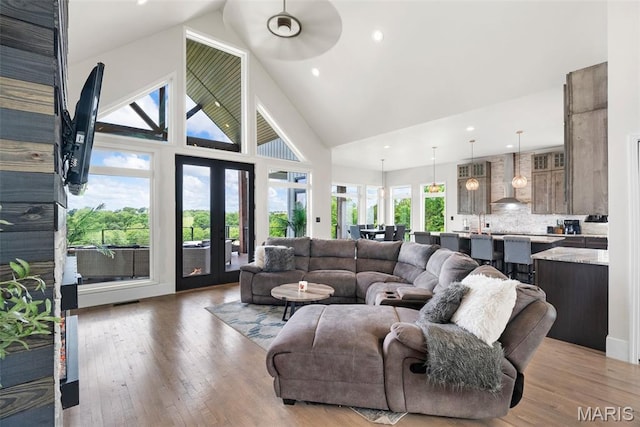 22206 Tree Farm Rd, Hermann, MO 63383 - living room with high vaulted ceiling, light wood-style floors, recessed lighting, and a ceiling fan