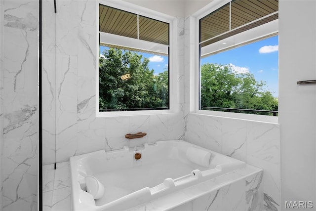22206 Tree Farm Rd, Hermann, MO 63383 - bathroom featuring a bath