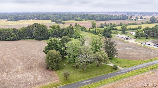 33974 Irish Ln, Brighton, IL 62012 - overview of rural landscape