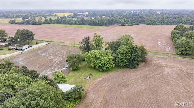 33974 Irish Ln, Brighton, IL 62012 - aerial view of sparsely populated area with farmland