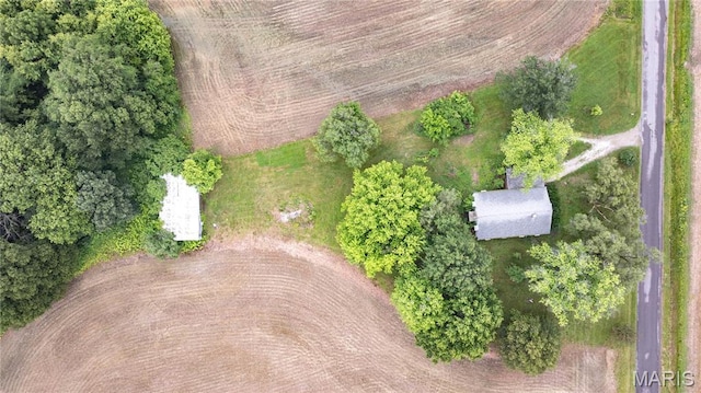 33974 Irish Ln, Brighton, IL 62012 - aerial view of property's location
