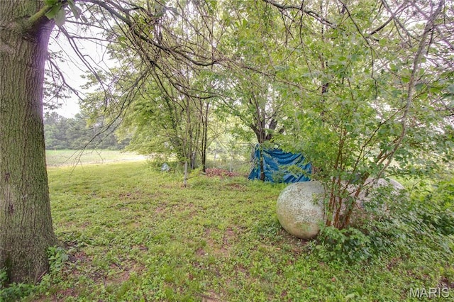 33974 Irish Ln, Brighton, IL 62012 - view of grassy yard
