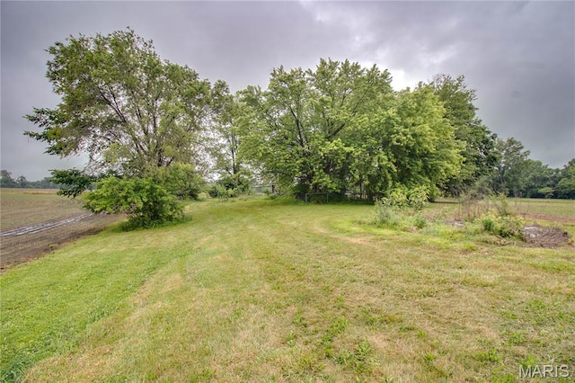 33974 Irish Ln, Brighton, IL 62012 - view of grassy yard featuring a view of rural / pastoral area