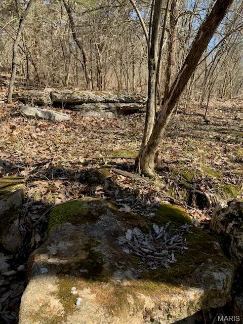23 Turkey Ridge Ct, Troy, MO 63379 - photo 1