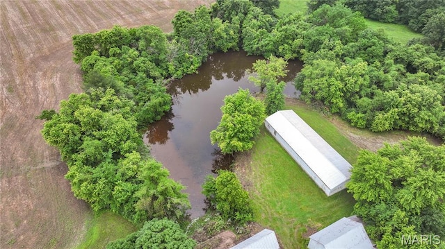 33425 Irish Ln, Brighton, IL 62012 - aerial view of a nearby body of water