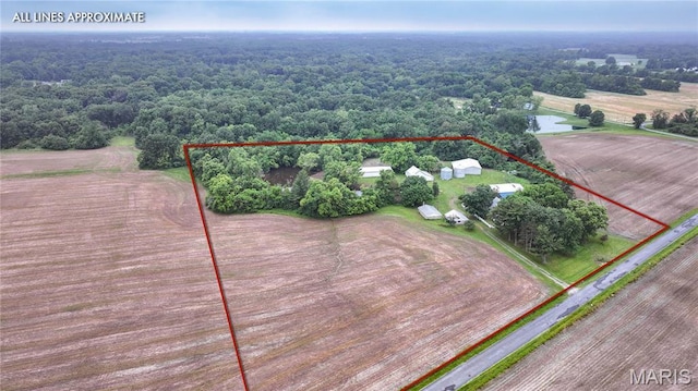 33425 Irish Ln, Brighton, IL 62012 - overview of rural landscape featuring property parcel outlined