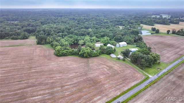 33425 Irish Ln, Brighton, IL 62012 - overview of rural landscape with a heavily wooded area