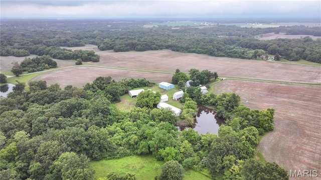 33425 Irish Ln, Brighton, IL 62012 - aerial view of property and surrounding area featuring rural landscape and a nearby body of water