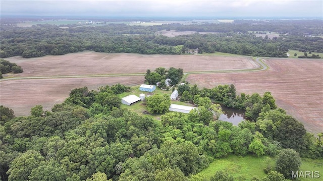33425 Irish Ln, Brighton, IL 62012 - overview of rural landscape