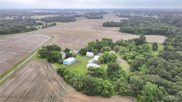 33425 Irish Ln, Brighton, IL 62012 - overview of rural landscape