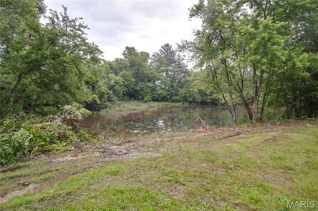 33425 Irish Ln, Brighton, IL 62012 - view of yard with a view of trees