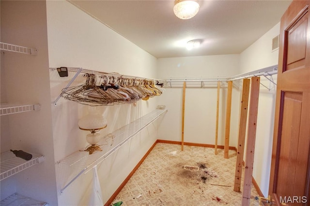33425 Irish Ln, Brighton, IL 62012 - view of spacious closet