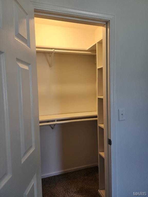 108 Auburn Dr, Waynesville, MO 65583 - view of closet