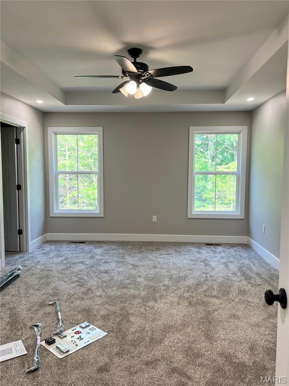 518 Rue Lamande, Bonne Terre, MO 63628 - carpeted spare room featuring a tray ceiling, ceiling fan, and baseboards