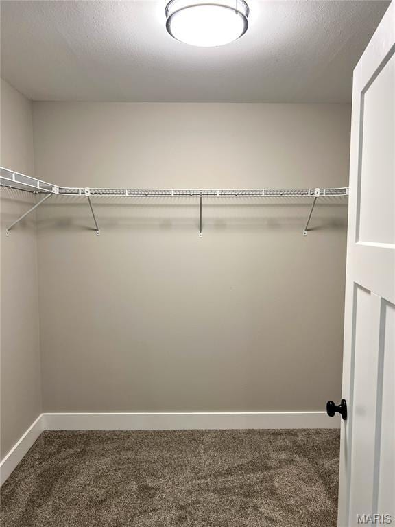 518 Rue Lamande, Bonne Terre, MO 63628 - spacious closet featuring dark colored carpet