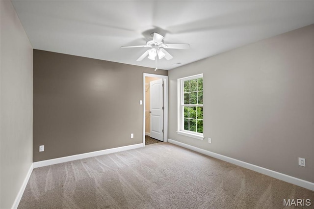 12433 Fieldstone Dr, Festus, MO 63028 - photo 27