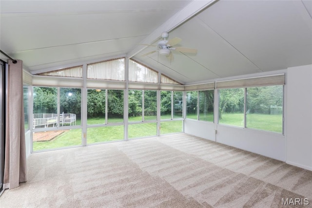 10728 Forest Path Dr, Saint Louis, MO 63128 - photo 9