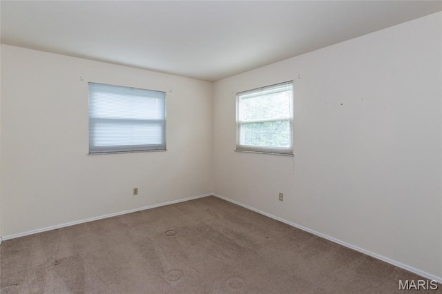 10728 Forest Path Dr, Saint Louis, MO 63128 - photo 16