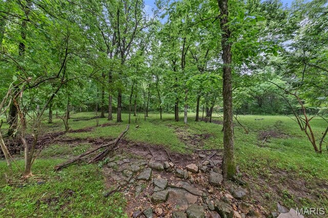 3190 Creek Rd, Moscow Mills, MO 63362 - photo 4