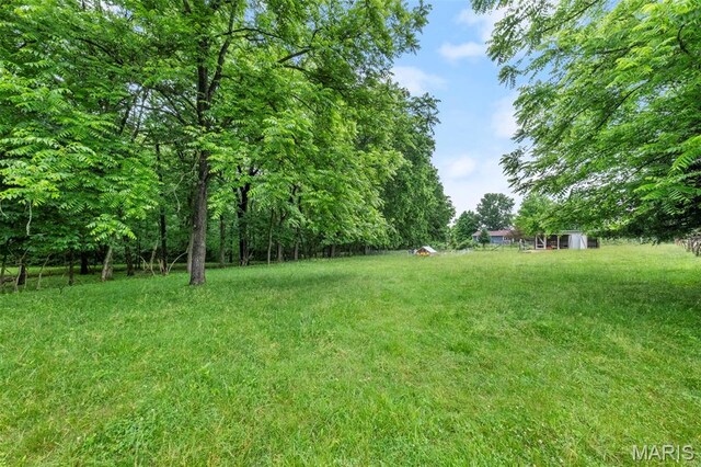 3190 Creek Rd, Moscow Mills, MO 63362 - photo 37