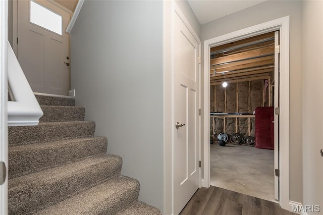 424 Triathlon Dr, Foristell, MO 63348 - staircase featuring wood finished floors