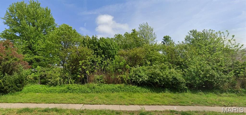 11533 Old Saint Charles Rd, Bridgeton, MO 63044 - view of local wilderness
