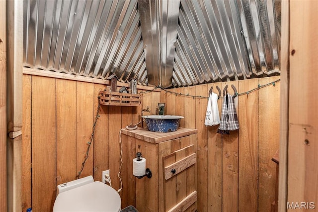 698N 3rd St, Saint Genevieve, MO 63670 - half bathroom featuring vanity, wooden walls, and lofted ceiling