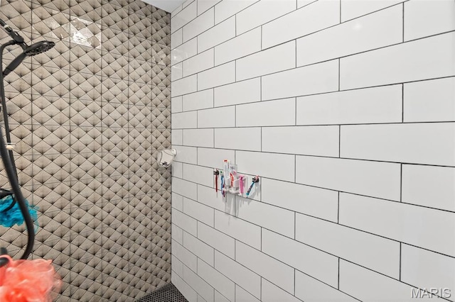 8353 Maple Grove Rd, Troy, IL 62294 - bathroom featuring tiled shower