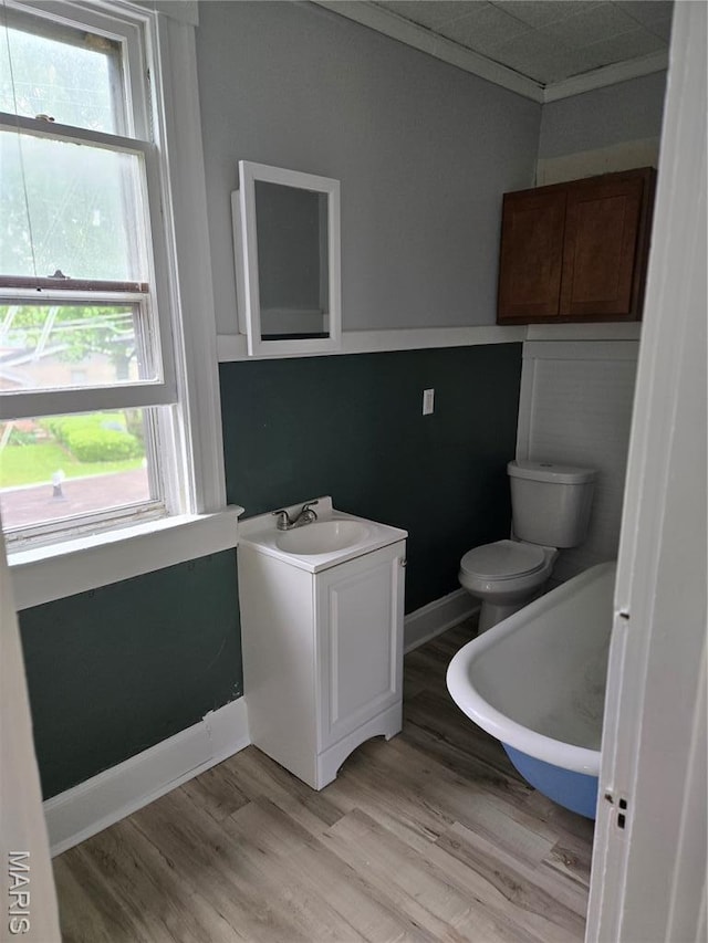 107 N 18th St, Belleville, IL 62226 - bathroom featuring toilet, plenty of natural light, vanity, and wood finished floors