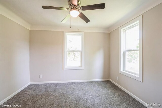 645 S Main St, Gerald, MO 63037 - photo 10