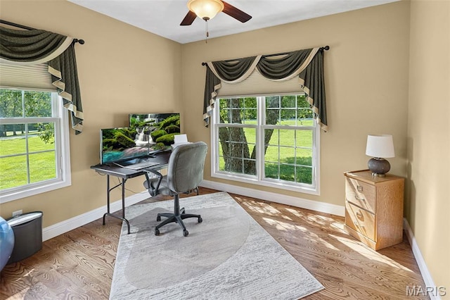 3111 Whispering Pines Dr, Belleville, IL 62221 - photo 26