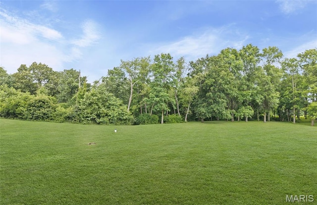 3111 Whispering Pines Dr, Belleville, IL 62221 - photo 44