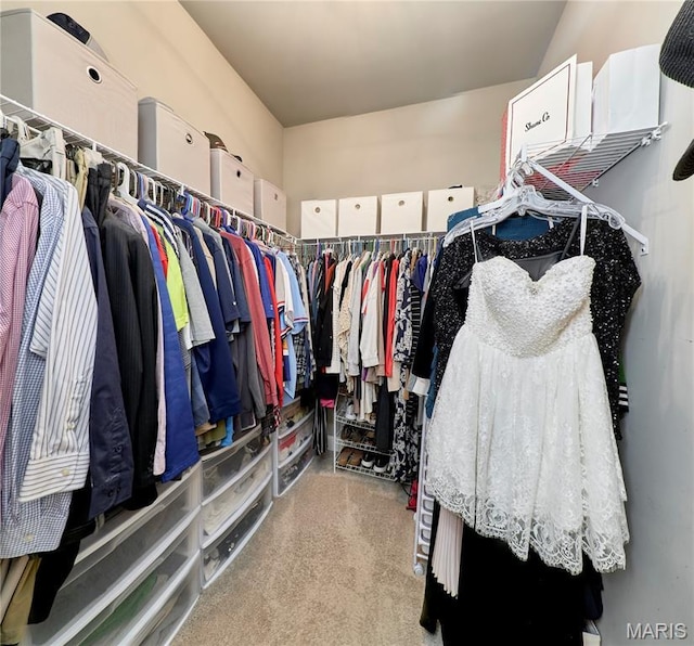 1810 Barclay Bluff Ct, Wentzville, MO 63385 - walk in closet with carpet