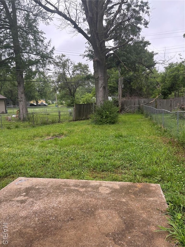 35 Saint Justin Dr E, St Louis, IL 62206 - view of yard