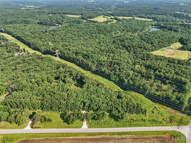 2575 County Farm Rd, Wright City, MO 63390