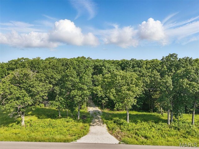 2575 County Farm Rd, Wright City, MO 63390